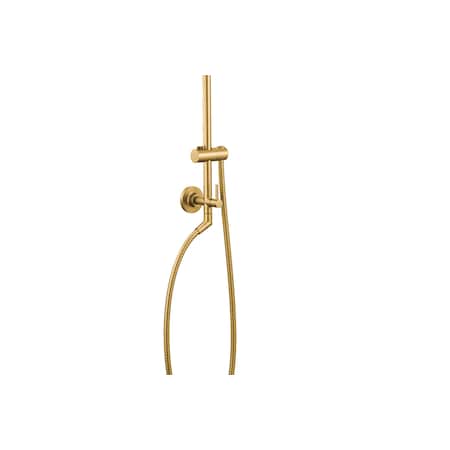 Moen Annex Brushed gold shower only TS3661NHBG